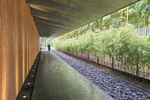 Travel photos from Seoul thumbnail 4
