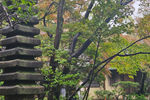 Travel photos from Seoul thumbnail 6