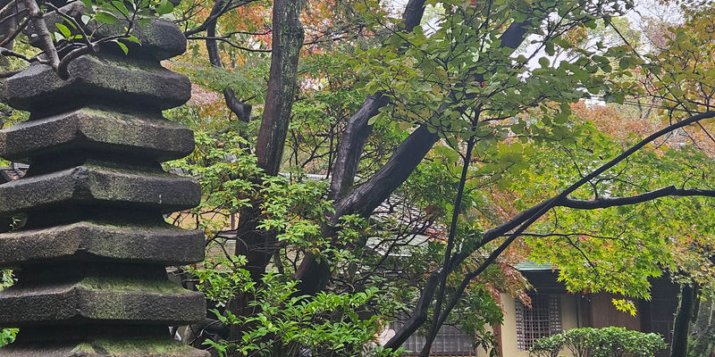 Travel photos from Seoul 6