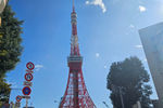 Travel photos from Seoul thumbnail 4