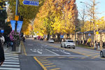 Travel photos from Seoul thumbnail 3