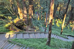 Travel photos from Seoul thumbnail 9