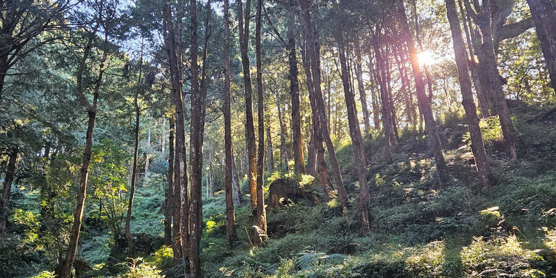 Travel photos from Seoul 10