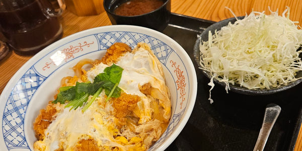 katsu-don