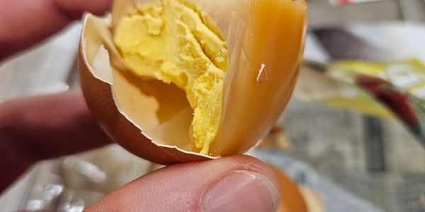 sauna-egg