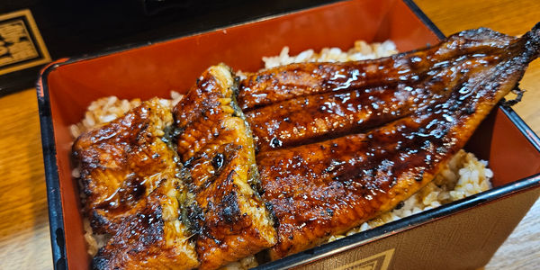 unagi