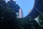 Travel photos from Week 10: Nov 28 - Dec 4: Kowloon, K-Pop and Iced Caffeine thumbnail 25