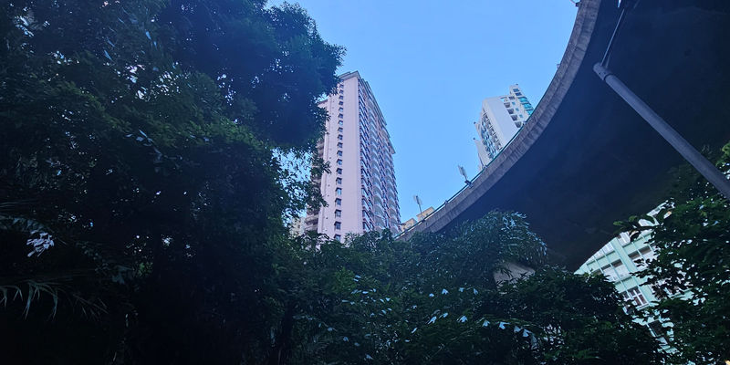 Travel photos from Week 10: Nov 28 - Dec 4: Kowloon, K-Pop and Iced Caffeine 25