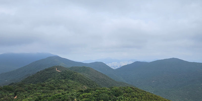 Travel photos from Week 10: Nov 28 - Dec 4: Kowloon, K-Pop and Iced Caffeine 29