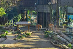 Travel photos from Week 5: Oct 24 - Oct 30: Starcraft, Themeparks and Long Hours at Work. thumbnail 11