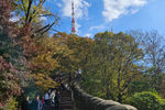 Travel photos from Week 6: Oct 31 - Nov 6: Contemplation, Halloween and Working Overtime thumbnail 10