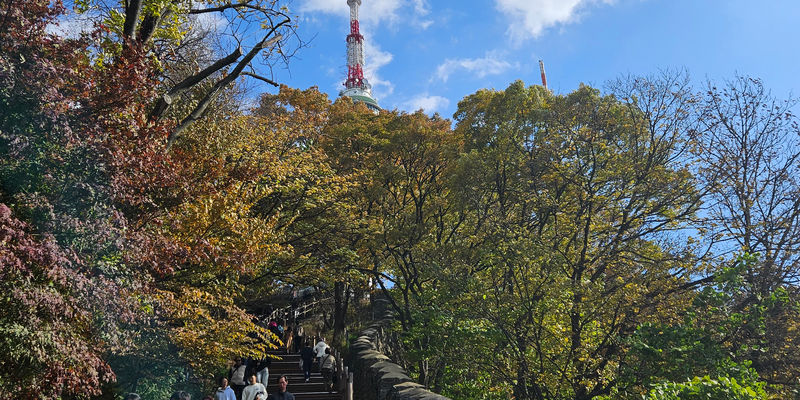Travel photos from Week 6: Oct 31 - Nov 6: Contemplation, Halloween and Working Overtime 10