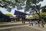 Travel photos from Week 7: Nov 7 - Nov 13: Shrines, Sushi and Sleepless Nights thumbnail 14