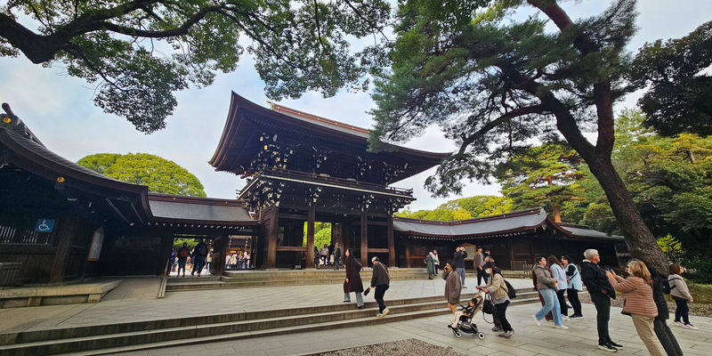 Travel photos from Week 7: Nov 7 - Nov 13: Shrines, Sushi and Sleepless Nights 14