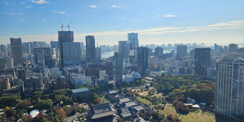 Travel photos from Week 7: Nov 7 - Nov 13: Shrines, Sushi and Sleepless Nights 23