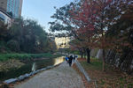 Travel photos from Week 8: Nov 14 - Nov 20: Packing, Traveling and Final Goodbyes thumbnail 7