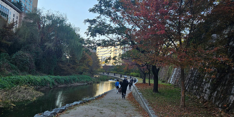 Travel photos from Week 8: Nov 14 - Nov 20: Packing, Traveling and Final Goodbyes 7