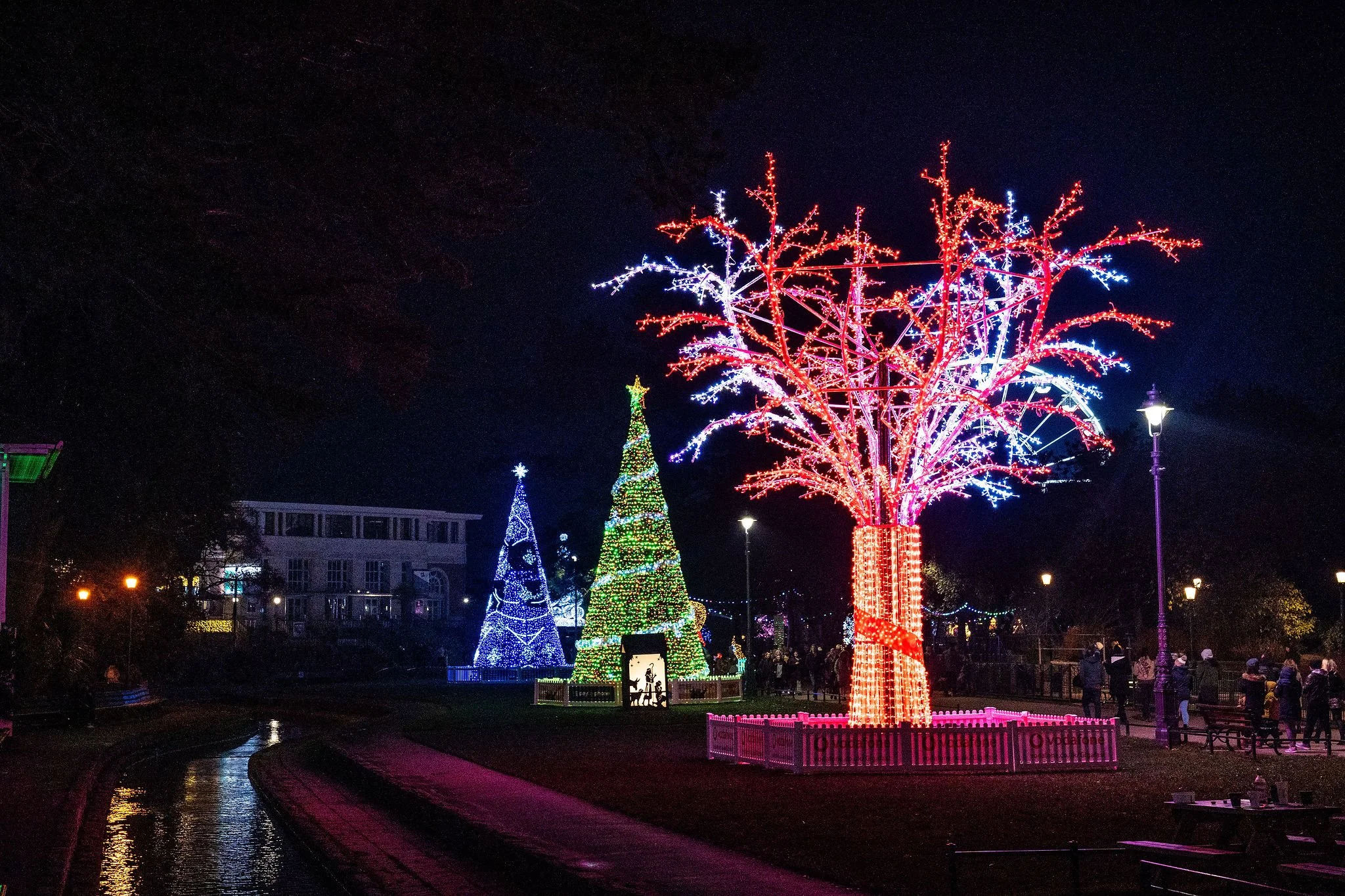 Christmas Tree Wonderland & Ice Rink