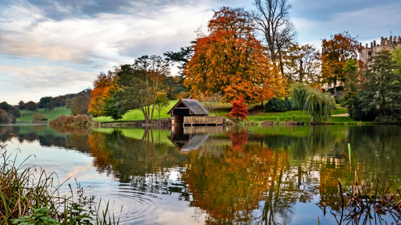Trees in autumn colour beside a lake in the Dorset countryside