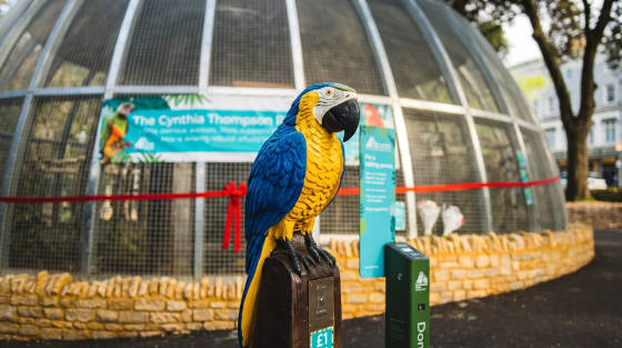 Colourful wooden parrot sculpture in front of an aviary