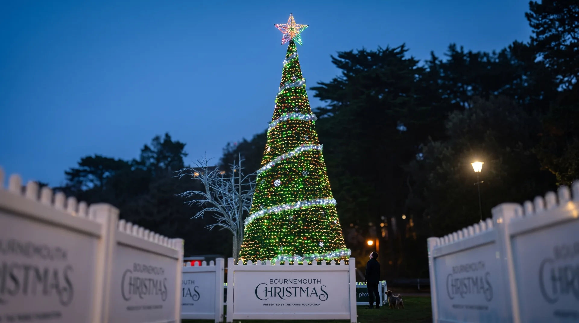 A brightly lit Christmas tree with a star on top, surrounded by white fencing and trees in the background at dusk.
