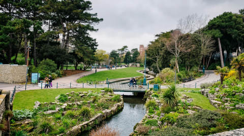 Landscaped gardens featuring a small bridge over a stream.