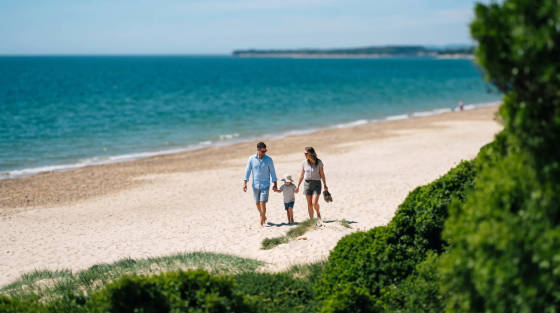 A family walking along a sandy beach near the sea