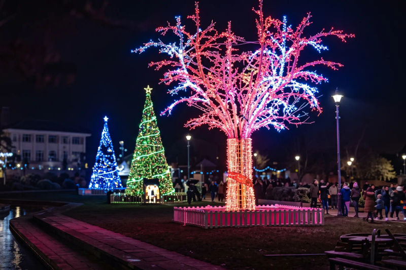 The big tree at Christmas Tree Wonderland in Bournemouth