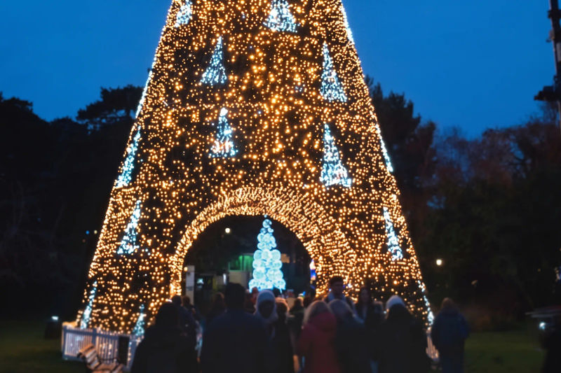 Christmas Tree Wonderland in the Lower Gardens