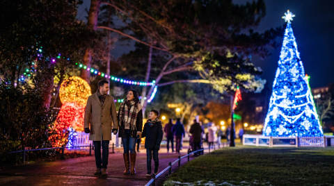 A family walking past a decorated Christmas tree at night