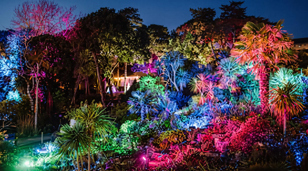 Vibrant illuminated gardens with colourful lights at dusk, showcasing various plants and trees