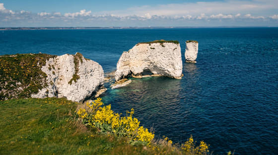 White chalk cliffs and blue sea along the Poole Cliff Walk