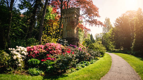 A memorial stone with flowers in a sunny park setting