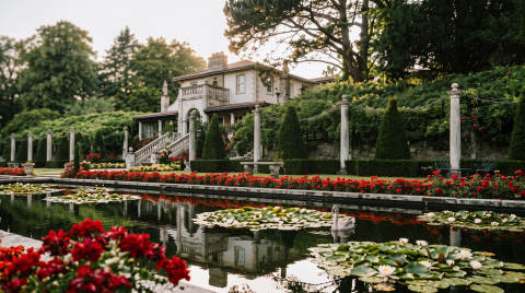 Beautiful garden featuring a pond with water lilies and vibrant flower beds.