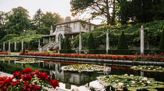 Beautiful garden featuring a pond with water lilies and vibrant flower beds.