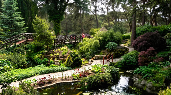 Lush garden with a wooden bridge and pond in Crompton Ares