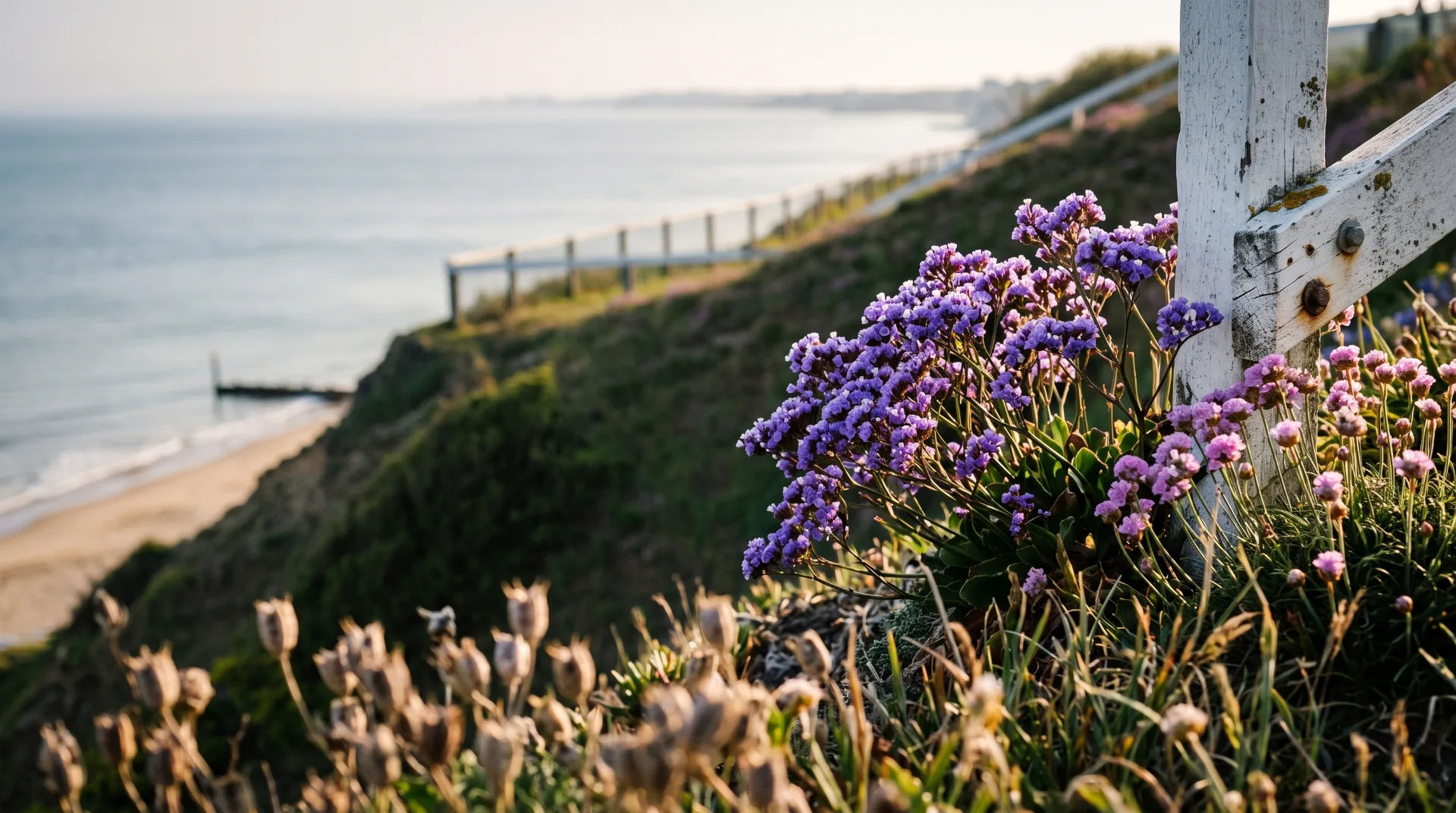Purple flowers bloom near a wooden fence overlooking the sea and sandy beach in Bournemouth.