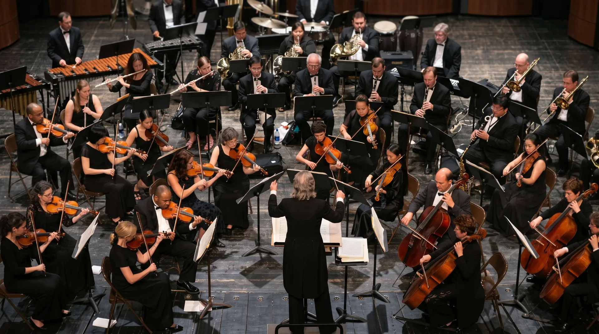 A large orchestra performing with musicians in formal black attire, focusing on string and wind instruments.