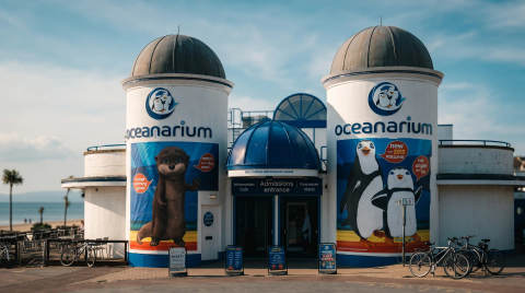 Entrance to the Oceanarium featuring animal murals and bicycles