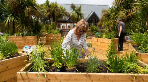 A woman tending to plants in wooden raised beds with palm trees in the background