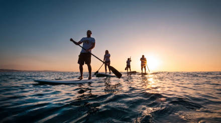 Four paddleboarders silhouetted against the sunset