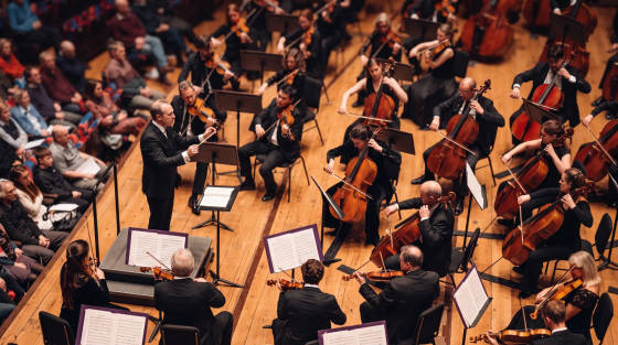 Conductor leading an orchestra with musicians playing instruments