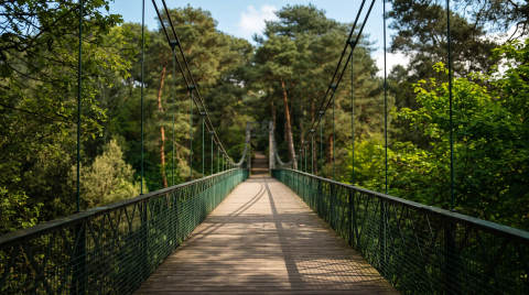 Suspension bridge leading into a lush green forest