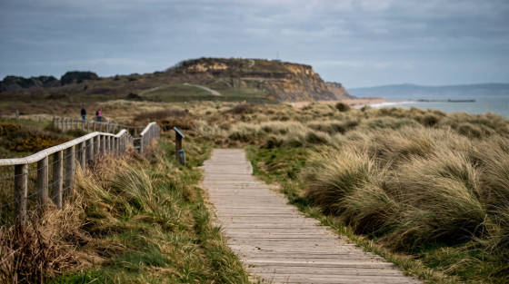 Wooden pathway leading through grass with cliffs in the background