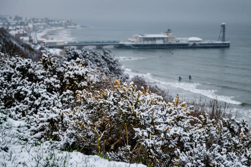 Frost on the clifftop gorse above the pier