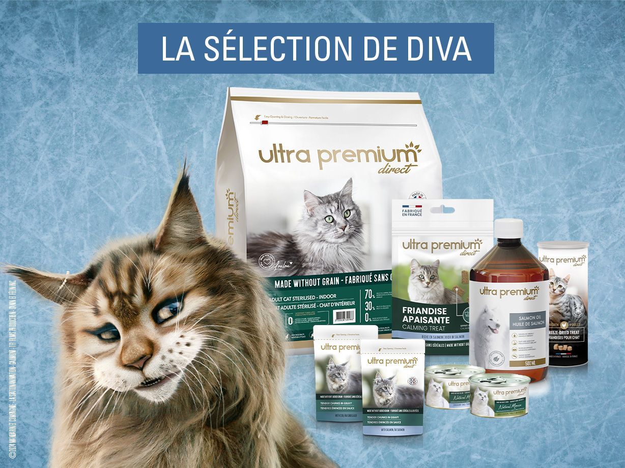 Film chien et chat - Ultra Premium Direct, image size:1228x920
