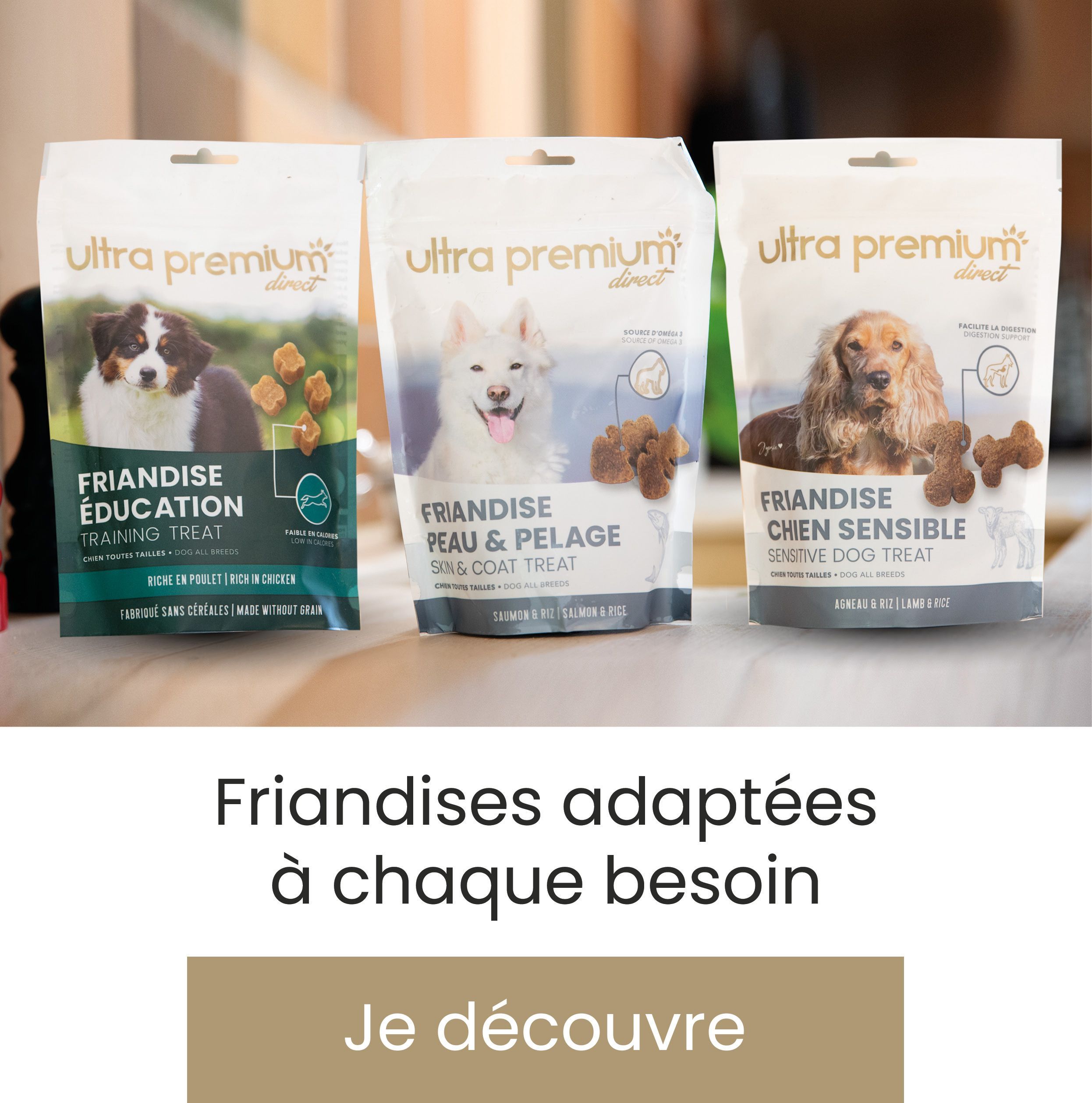 Kit d'empreintes de pattes d'animaux de compagnie, Keepplex, cadre