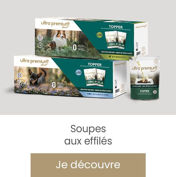 KCRasan Kit d'empreintes de pattes de chien – Cadre photo commémoratif avec  empreintes de pattes – Kit d'empreintes de pattes de chien ou de chat