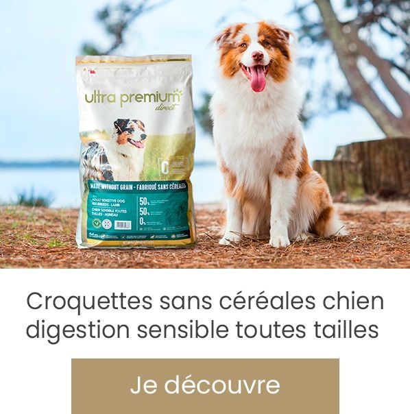 Gobelet doseur pour croquettes Optimus chien