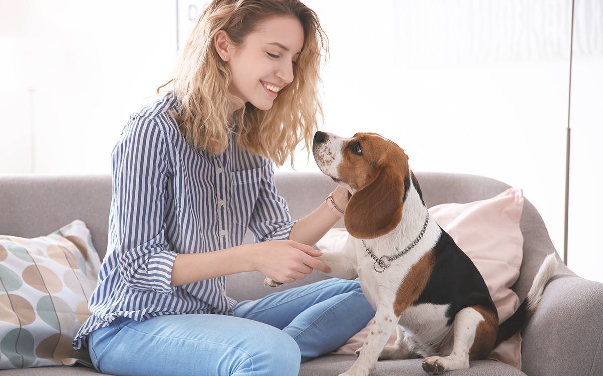 Chien avec sa maîtresse